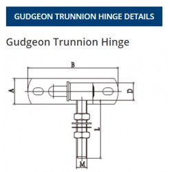 Swing Gate Top & Bottom Hinges 
